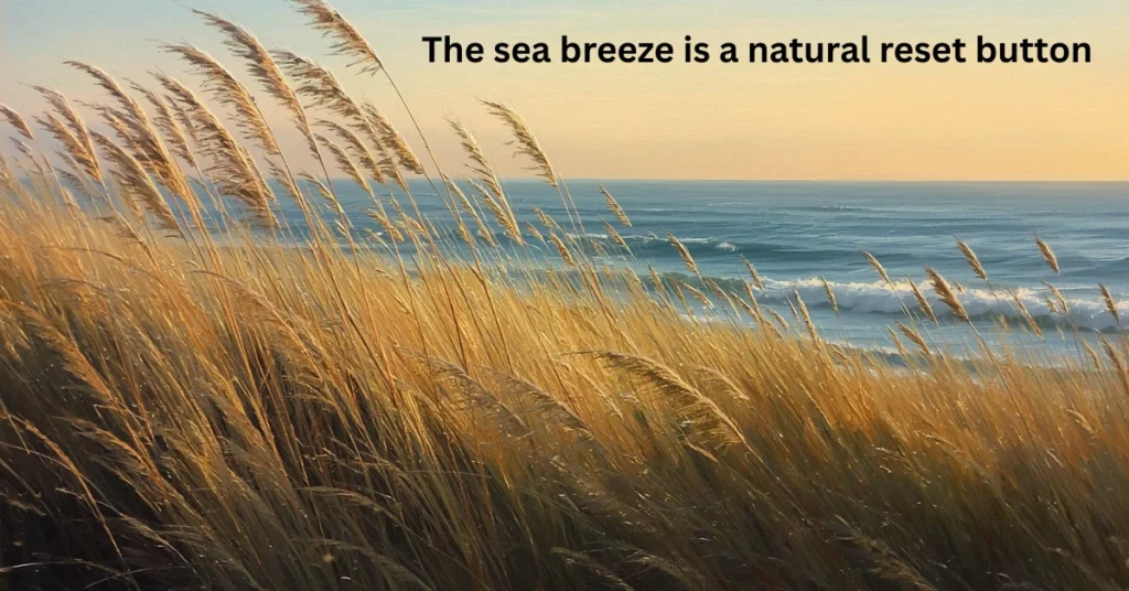 The sea breeze is a natural reset button