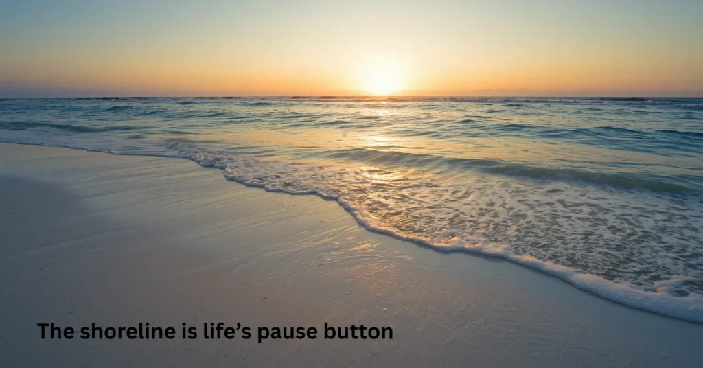 The shoreline is life’s pause button