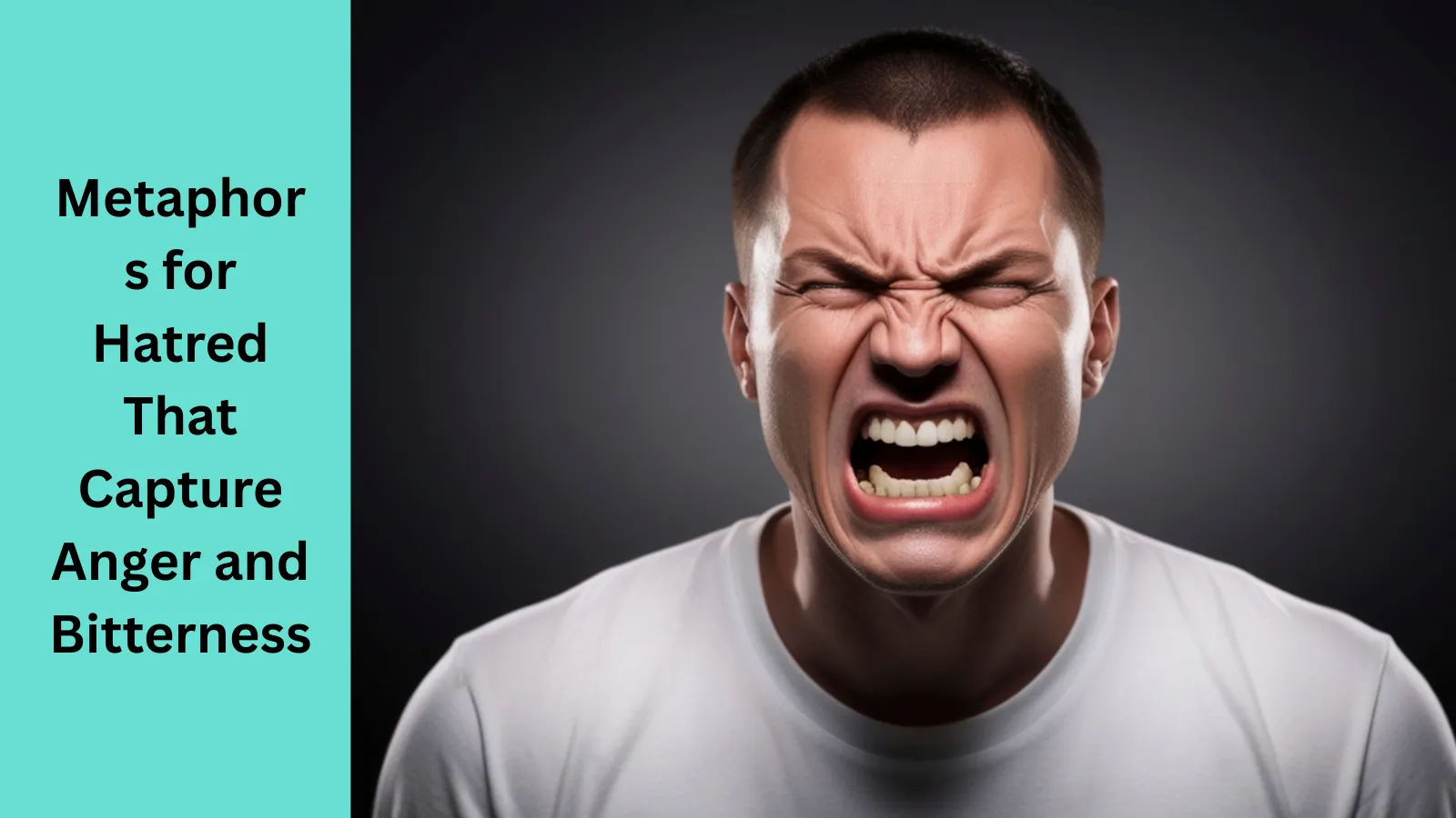 Metaphors for Hatred That Capture Anger and Bitterness