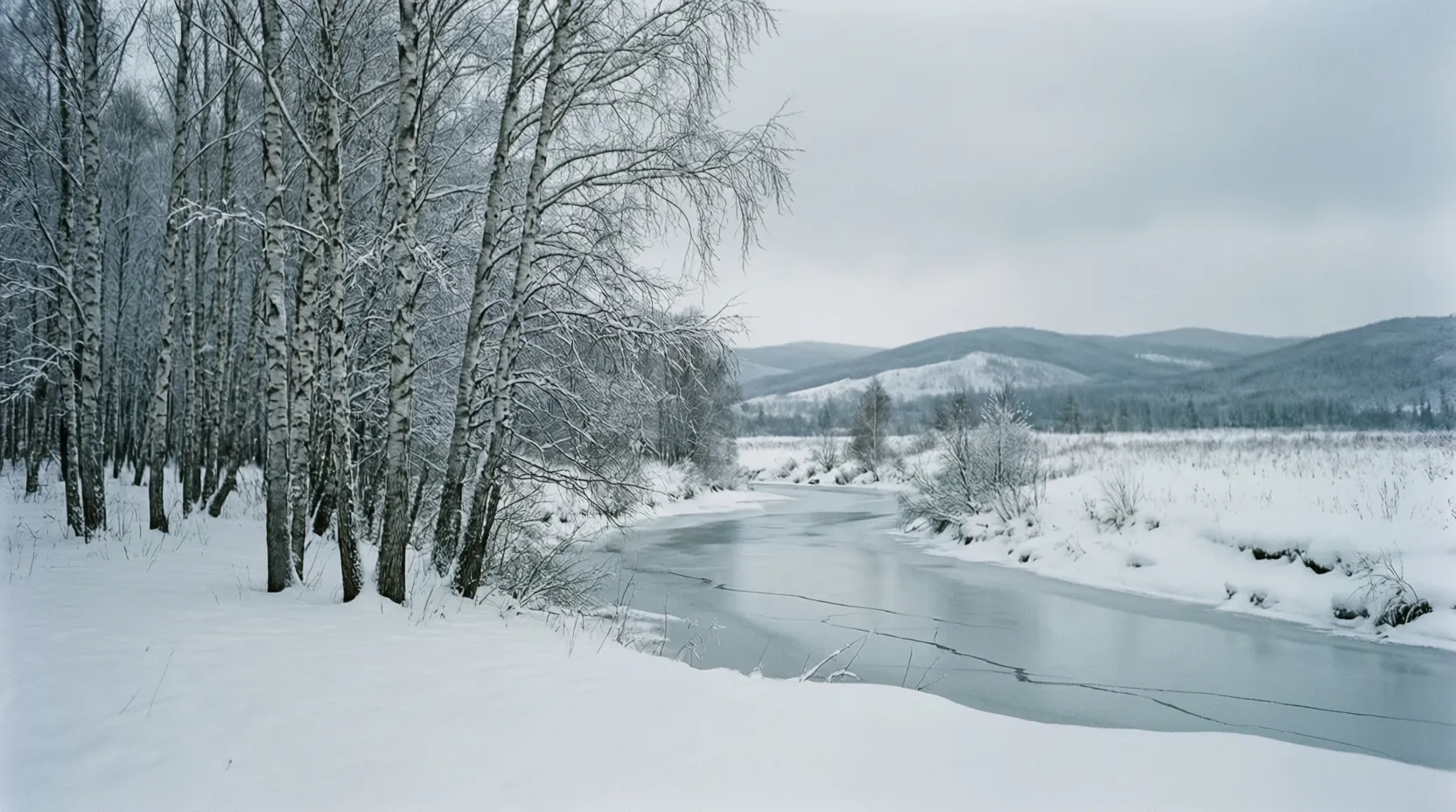 Metaphors for Winter A Season of Silence and Stillness