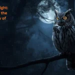 Metaphor for Night Understanding the Hidden Beauty of Darkness