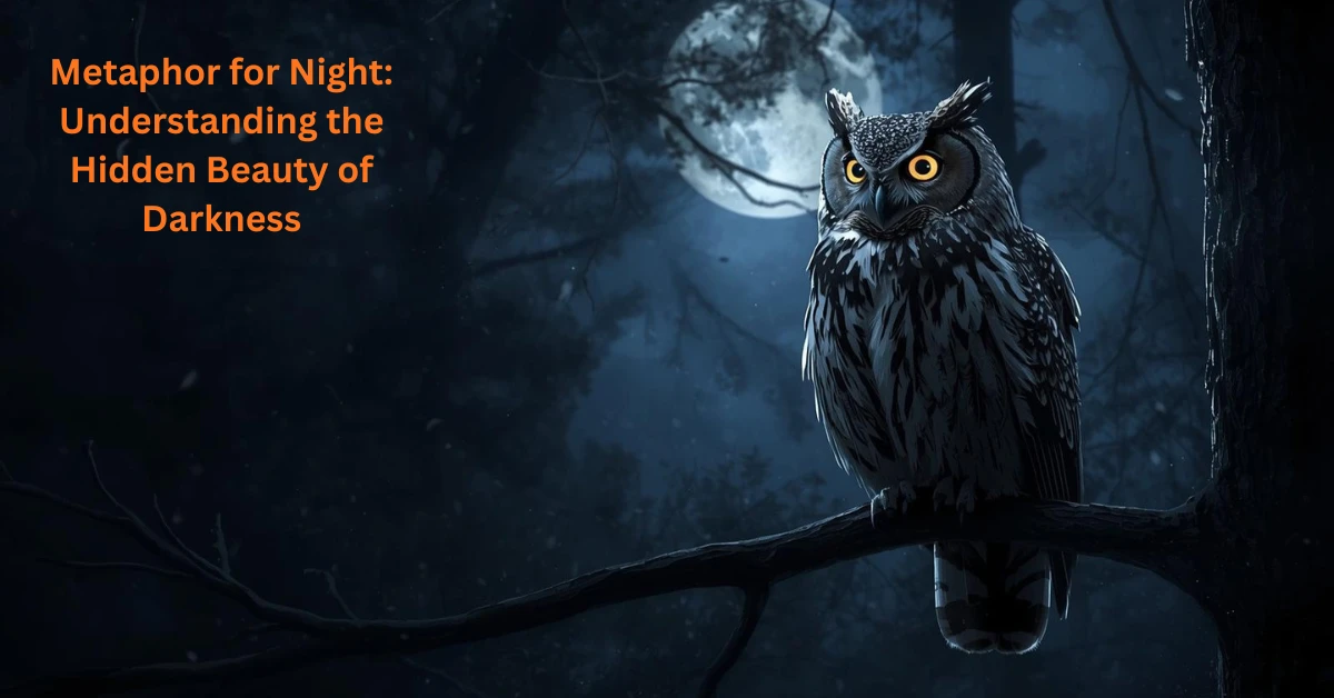 Metaphor for Night Understanding the Hidden Beauty of Darkness