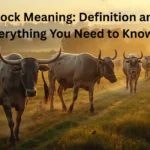 Bullock Meaning: Definition and Everything You Need to Know