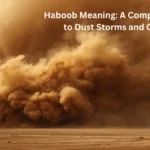 Haboob Meaning: A Complete Guide to Dust Storms and Causes