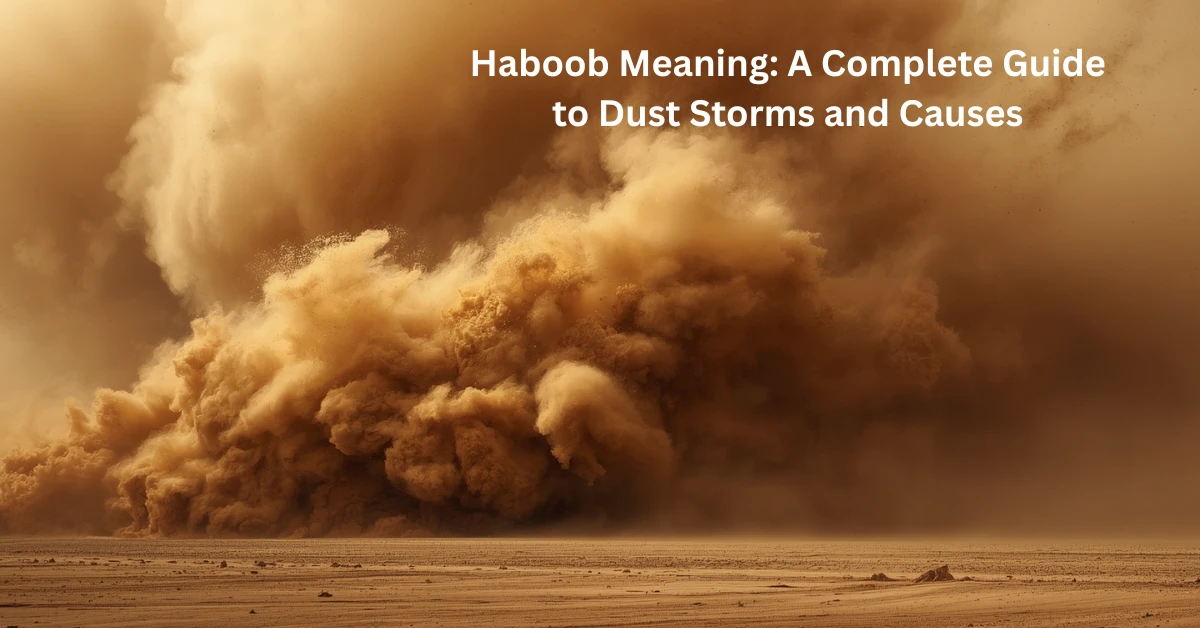 Haboob Meaning: A Complete Guide to Dust Storms and Causes