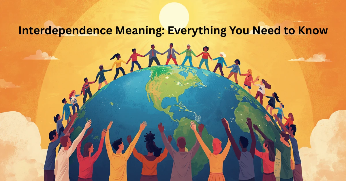 Interdependence Meaning: Everything You Need to Know